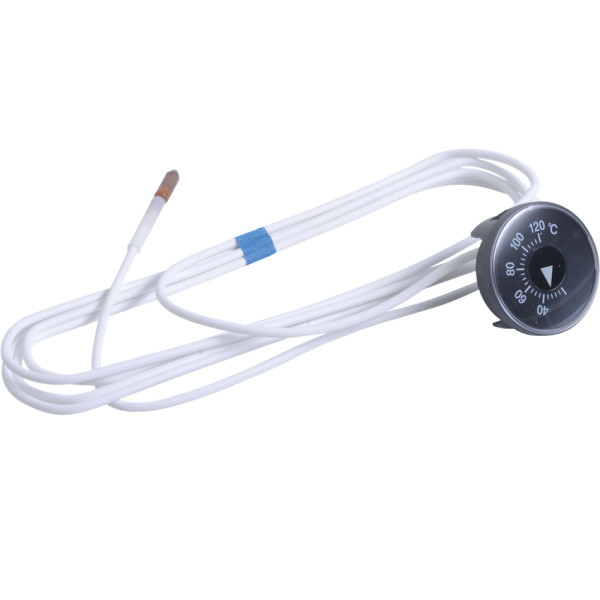 Viessmann Thermometer