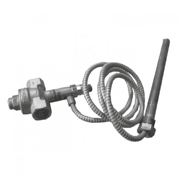 Viessmann Thermische Ablaufsicherung 100 °C