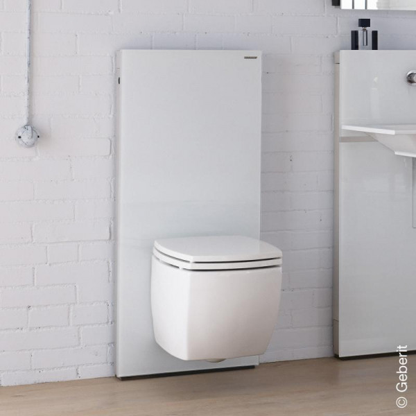 Geberit Monolith Sanitärmodul für Wand-WC 114 cm
