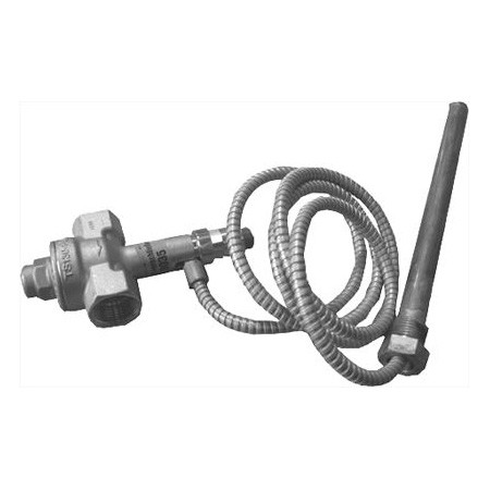Viessmann Thermische Ablaufsicherung