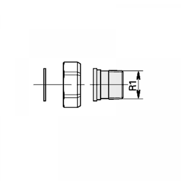 Viessmann Gewindeverschraubung 1" (1 Satz)